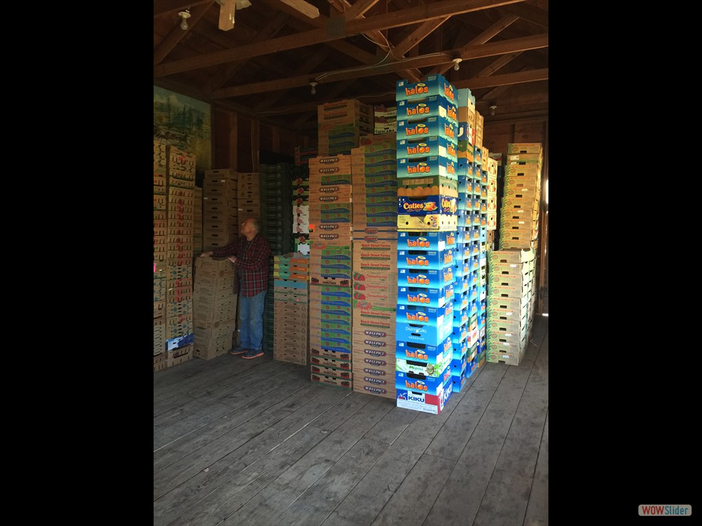 Someone has collected an enormouse mountain of boxes (+3000), thanks Jeff!